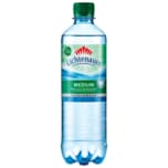 Lichtenauer Mineralwasser Medium 0,5l