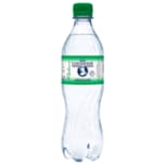Bad Liebenwerda Mineralwasser Medium 0,5l