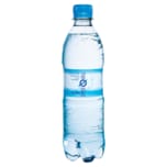 Spreequell Mineralwasser Classic 0,5l