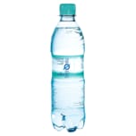 Spreequell Mineralwasser Medium 0,5l