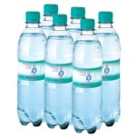 Spreequell Mineralwasser Medium 6x0,5l