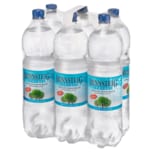 Rennsteig Mineralwasser Sprudel 6x1,5l