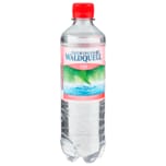 Thüringer Waldquell Mineralwasser Pur 0,5l