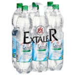 Extaler Mineralwasser Naturell 6x1,25l
