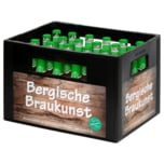 Erzquell Brauerei Bielstein Radler 24x0,33l