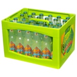 Salitos Imported Ice 24x0,33l