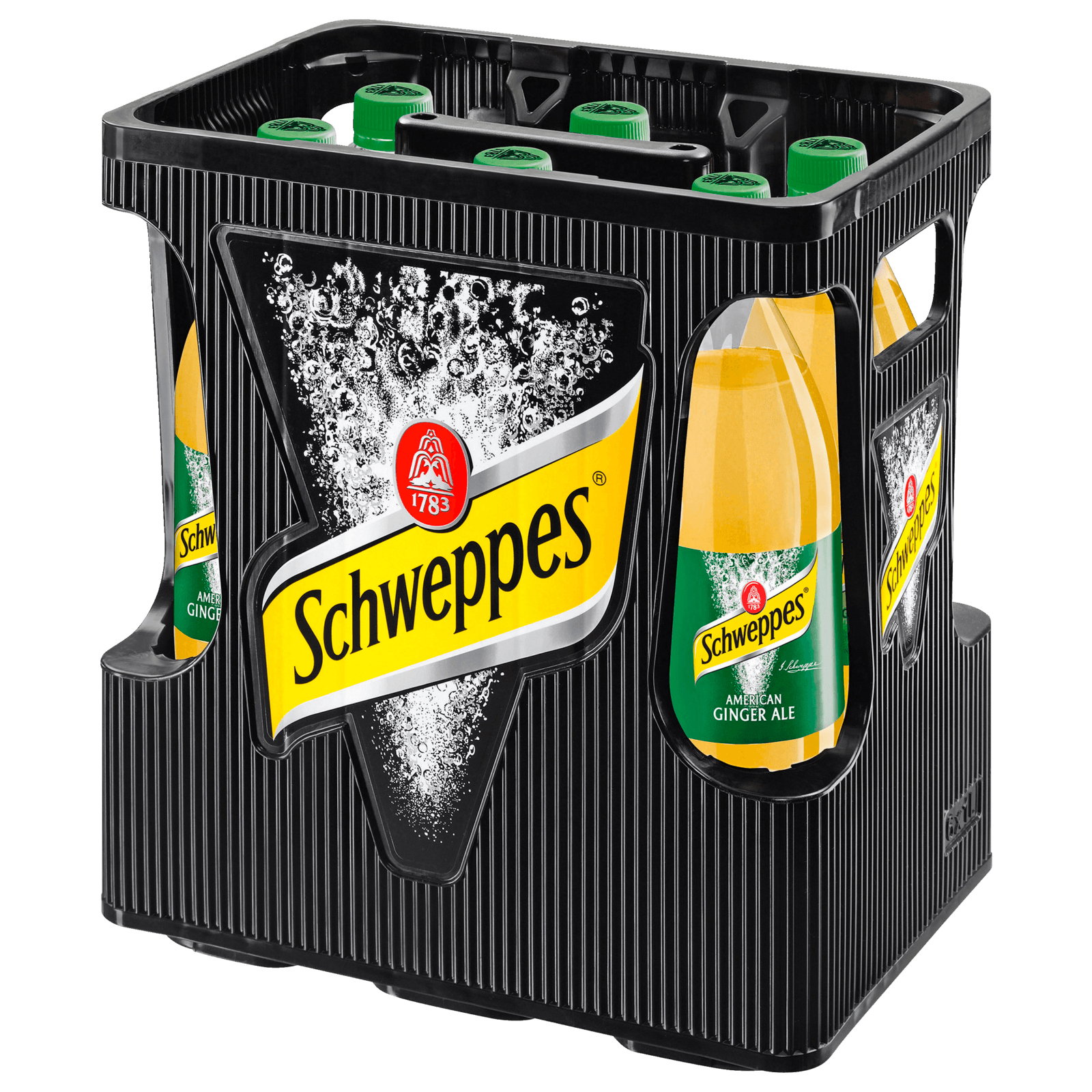 Schweppes Ginger Ale 6x1l