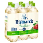 Fürst Bismarck Wellness Trauben & Kräuter 6x0,5l