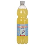 Waldecker Sport Mineralwasser isotonisch 1l