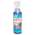 HG Glas & Spiegel Spray 500ml