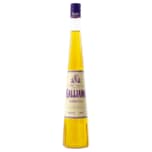Galliano Vanilla Likör 0,5l