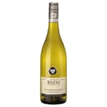 Sileni Weißwein Sauvignon Blanc Cellar trocken 0,75l