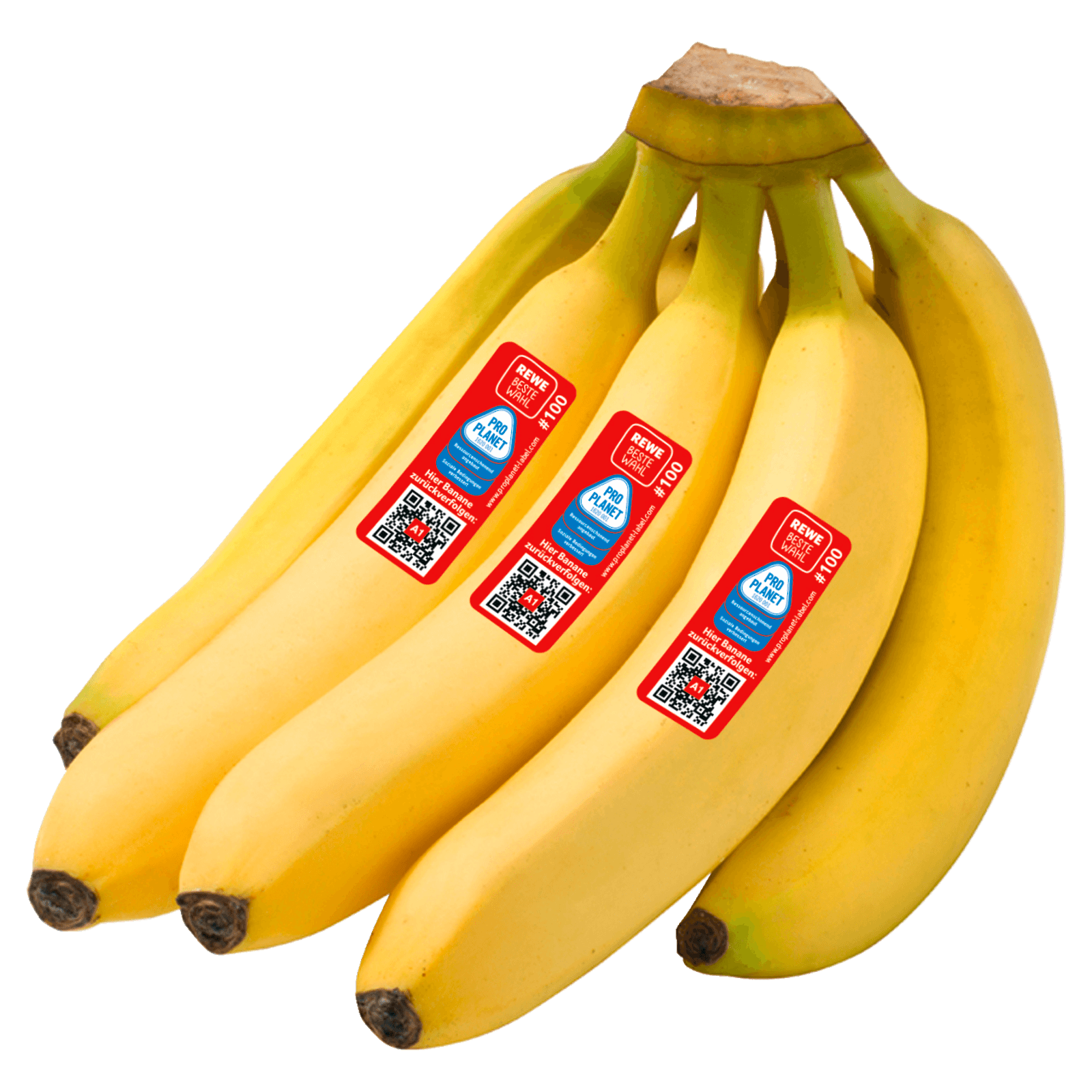 Rewe Beste Wahl Banane Bei Rewe Online Bestellen