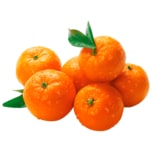 REWE Bio Mandarinen 750g im Netz