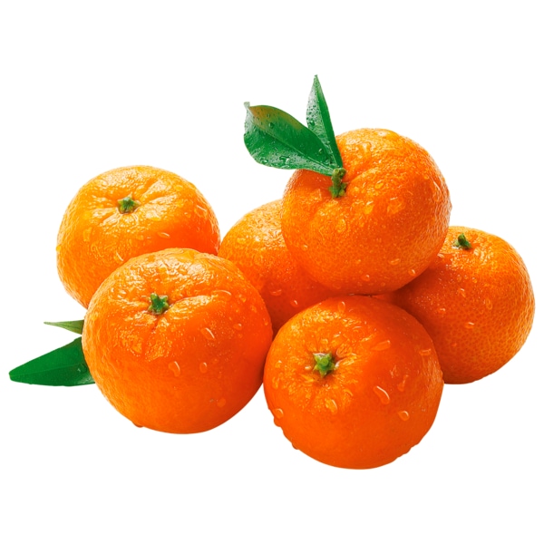 REWE Bio Mandarinen im Netz 750g