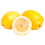 Zitronen 500g im Netz