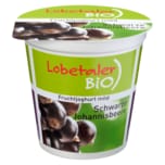 Lobetaler Bio-Joghurt Schwarze Johannisbeere 150g
