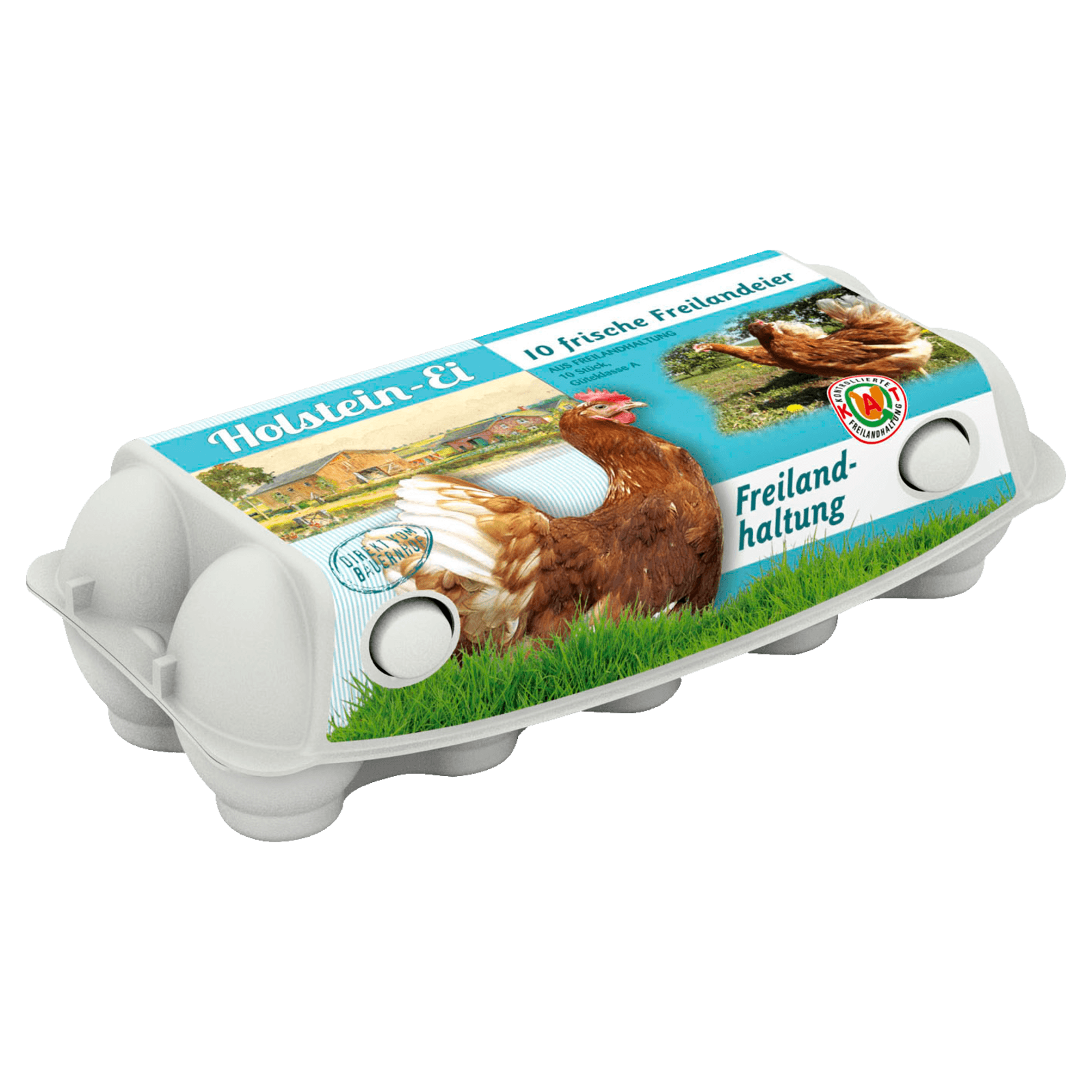 Holstein Eier Freilandhaltung 10 Stück  für 3.99 EUR