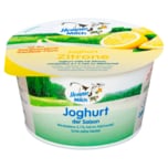 Hemme Milch Joghurt der Saison Zitrone 200g