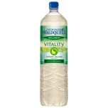 Thüringer Waldquell Wellness Vitality Zitrone-Melisse 1,5l