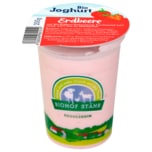 Biohof Stähr Bio Joghurt mild Erdbeere 200g