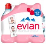 Evian Mineralwasser Naturell 6x0,75l