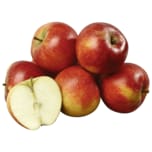 REWE Bio Apfel rot 1kg