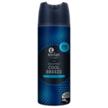 Today Deospray Cool Breeze 200ml