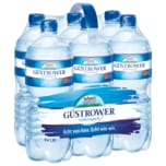 Güstrower Schlossquell Mineralwasser Classic 6x1l