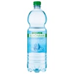 Schönrainquelle Medium Mineralwasser mit Kohlensäure 1l