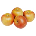Obsthof Lehmbeck Äpfel Cox Orange 2kg