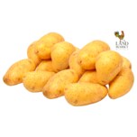 LANDMARKT Kartoffeln Drillinge aus der Region 1kg