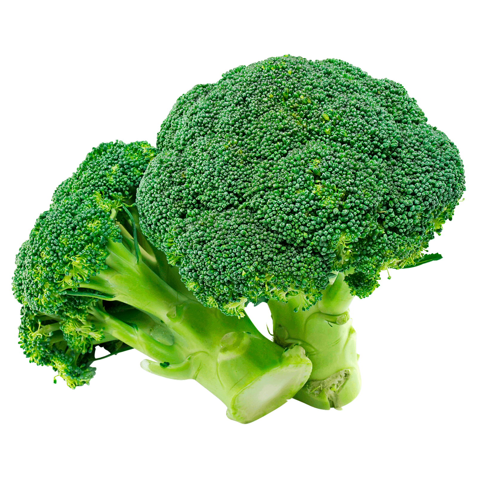 REWE Bio Broccoli 1 Stück