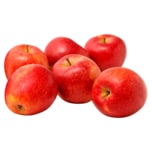 Rote Braeburn Tafeläpfel aus der Region 1kg