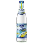 Brunnthaler Brun Aqua Lemon 0,5l