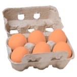 Dannenberger Eier Freilandhaltung 6 Stück