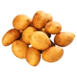 Bio Kartoffeln Drillinge aus der Region 1kg