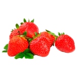 Hegehof Erdbeeren 500g