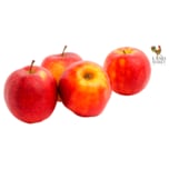 LANDMARKT Äpfel Jonagold aus der Region 2kg