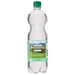 Warburger Waldquell Mineralwasser Medium 0,75l