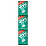 Vivil Friendship Eukalyptus-Menthol 3x25g