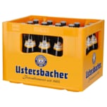 Ustersbacher Edel-Export 20x0,5l