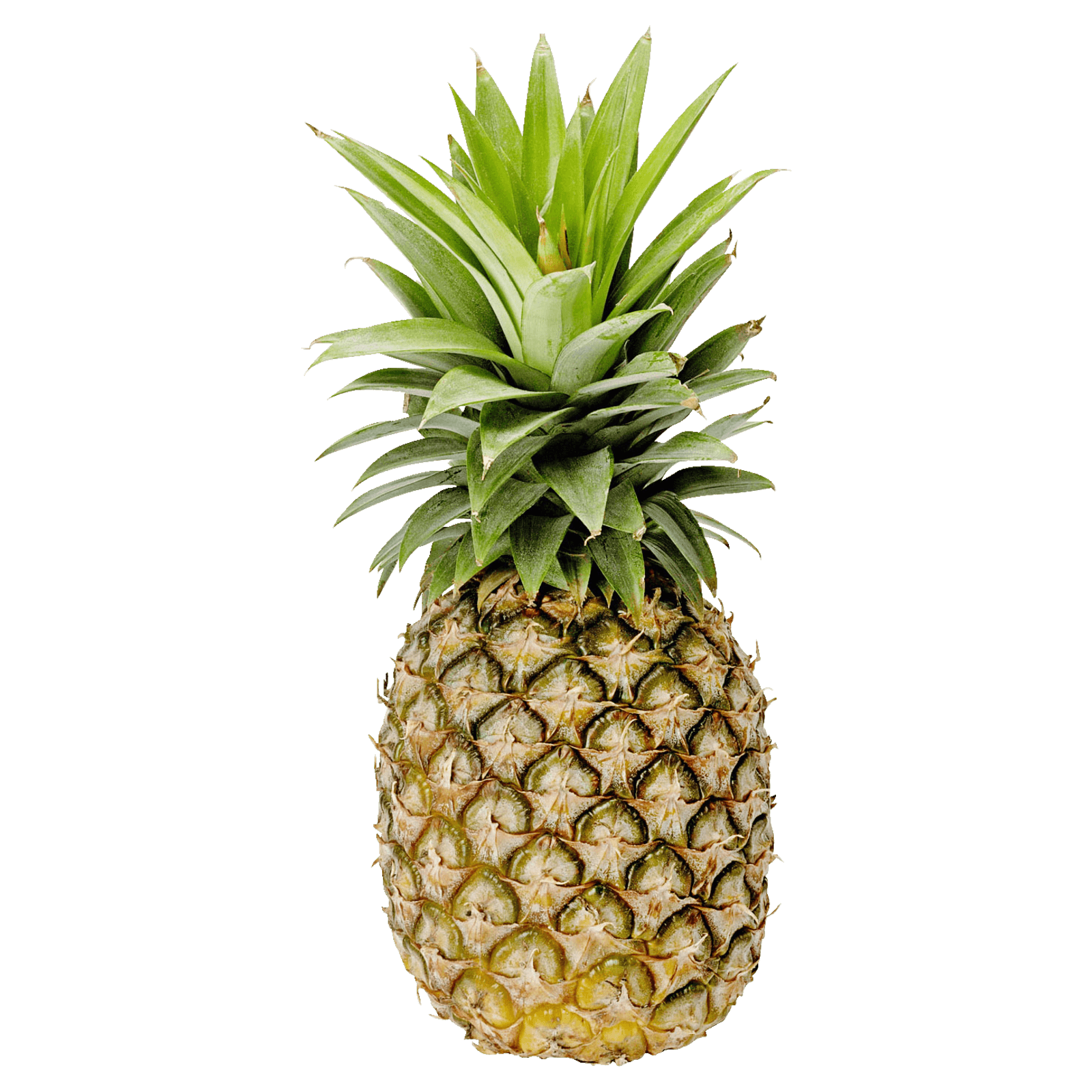 REWE Bio Ananas 1 Stück