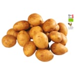 LANDMARKT Bio Kartoffeln Drillinge aus der Region 1kg