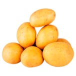 Kartoffeln Laura vorwiegend festkochend aus der Region 2kg