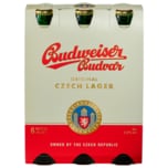 Budweiser Budvar Premium Lager 6x0,33l