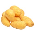 LANDMARKT Rompel Kartoffeln festkochend 4kg