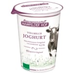 Hamfelder Hof Bio Joghurt natur 4,2% Fett 500g
