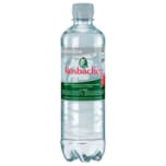 Rosbach Mineralwasser Klassisch 0,5l