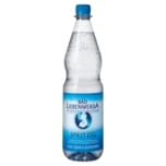 Bad Liebenwerda Mineralwasser Spritzig 1l